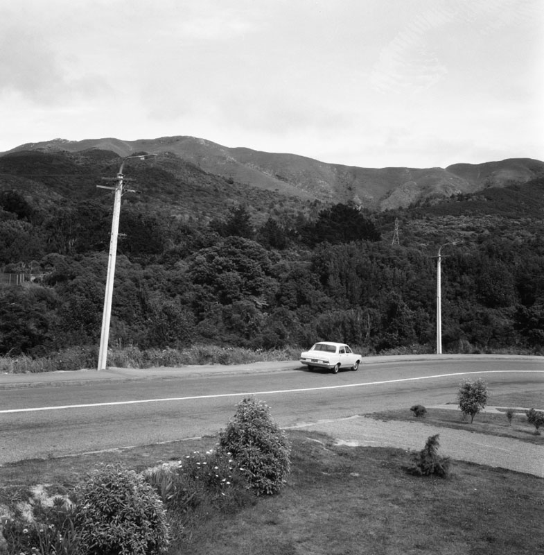 f. Wilton Bush (Curtis Land)