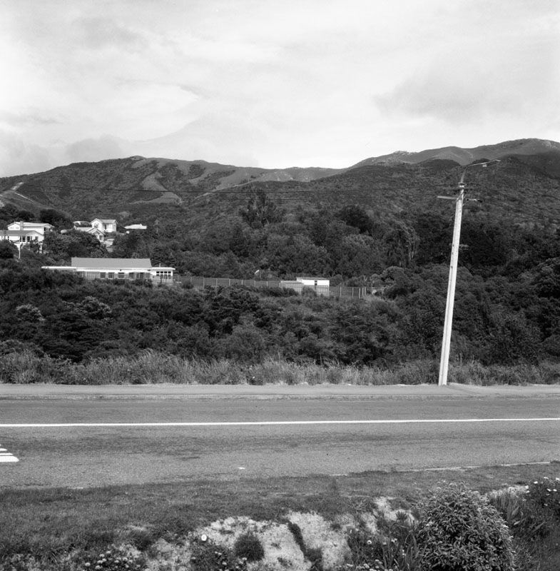 g. Wilton Bush (Curtis Land)