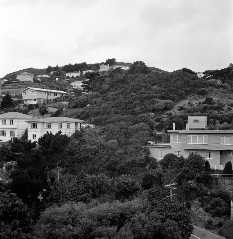 b. Vacant land between nos 38-42, Delhi Cr and no 50 Madras St