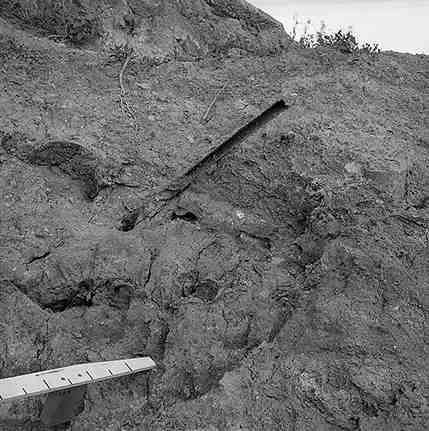 e. Webb Street, Retaining Wall