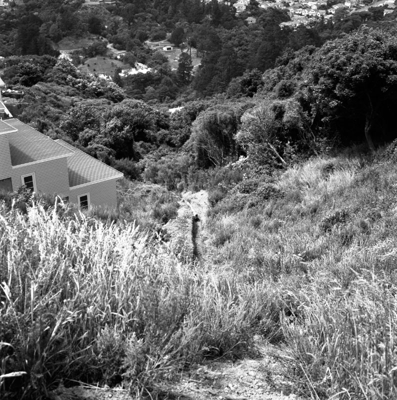 d. Orangi-Kaupapa Road - Moturoa Avenue. Mr Rose's section