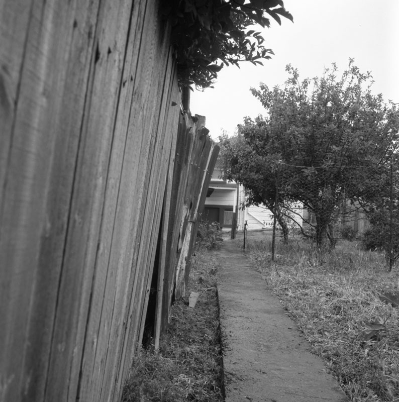 a. No 44 Owen St, Uneeda Fruit Co. large stacks of empty fruit boxes