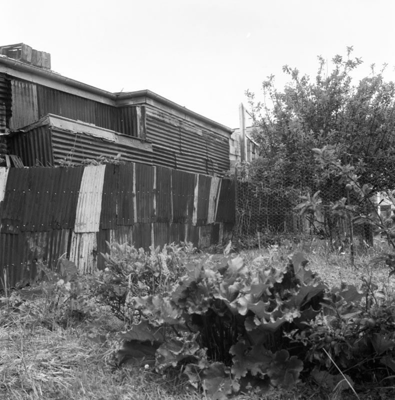 h. No 44 Owen St, Uneeda Fruit Co. large stacks of empty fruit boxes