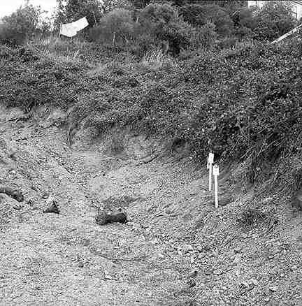 l. Dwellings, Garden Road