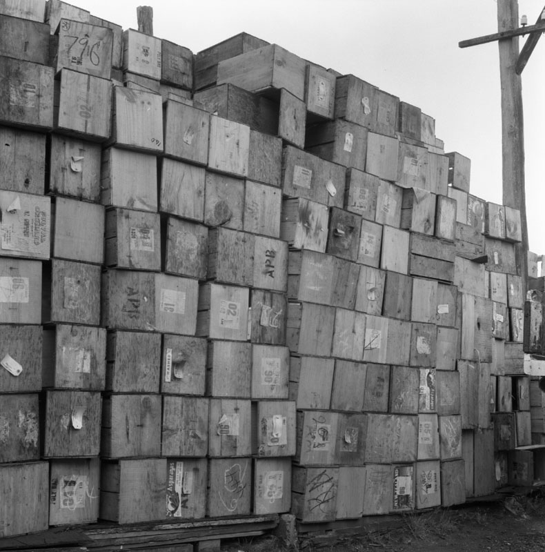 i. No 44 Owen St, Uneeda Fruit Co. large stacks of empty fruit boxes