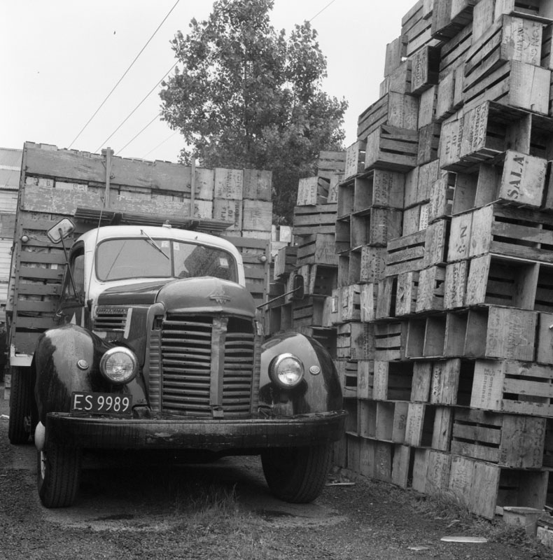 j. No 44 Owen St, Uneeda Fruit Co. large stacks of empty fruit boxes