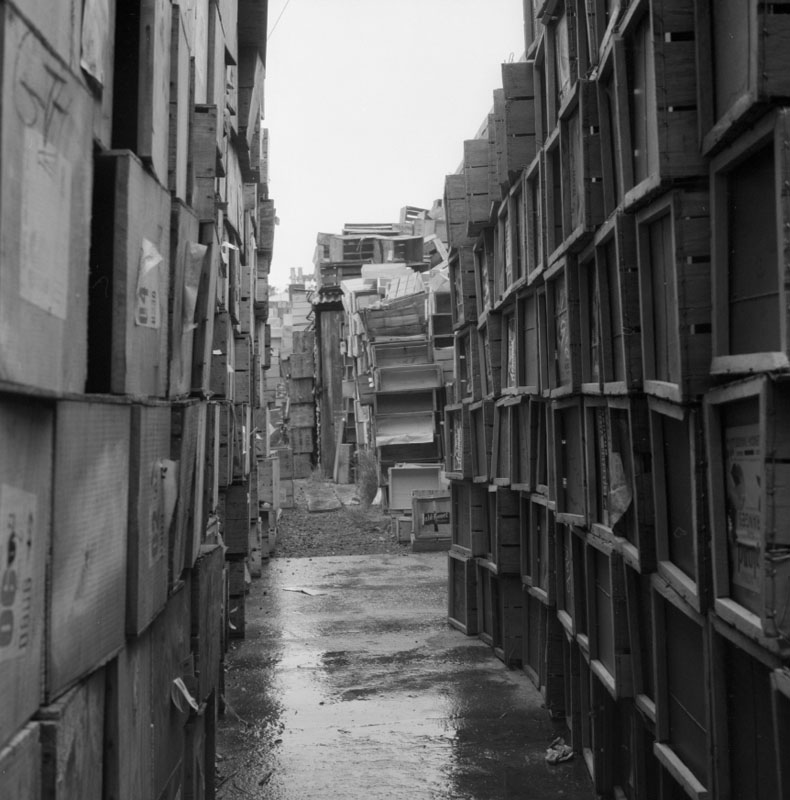 k. No 44 Owen St, Uneeda Fruit Co. large stacks of empty fruit boxes