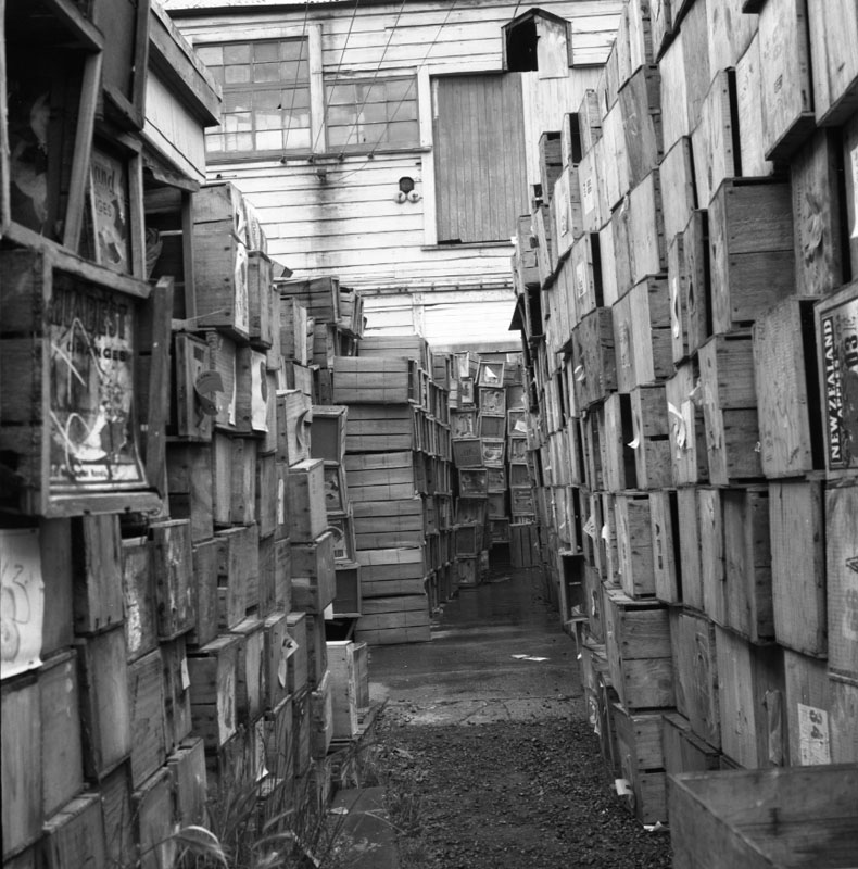l. No 44 Owen St, Uneeda Fruit Co. large stacks of empty fruit boxes