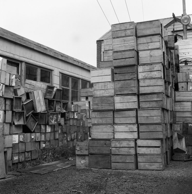 m. No 44 Owen St, Uneeda Fruit Co. large stacks of empty fruit boxes