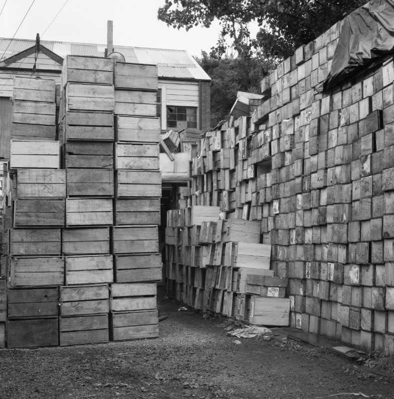 n. No 44 Owen St, Uneeda Fruit Co. large stacks of empty fruit boxes