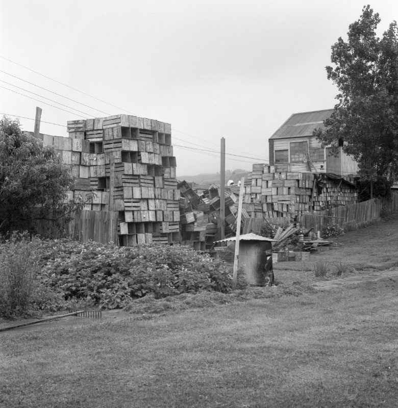 c. No 44 Owen St, Uneeda Fruit Co