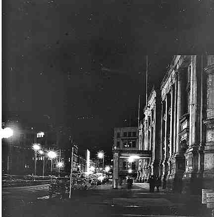 e. Wellington Festival, Night Lights