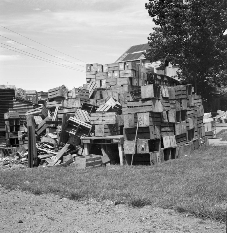 f. No 44 Owen St, Uneeda Fruit Co