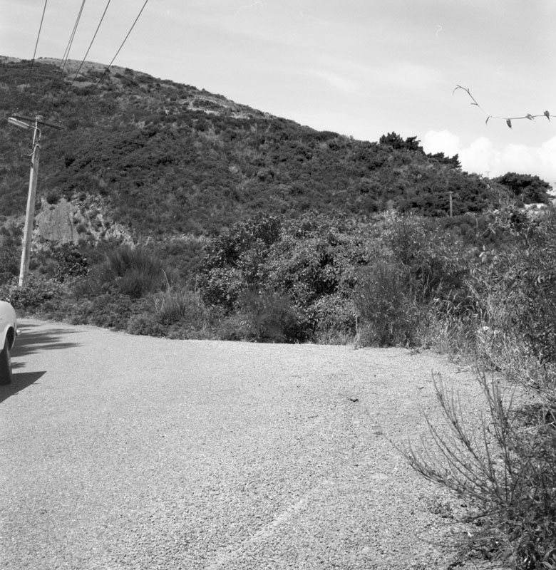 a. Rubbish dumped on side of Old Porirua Road