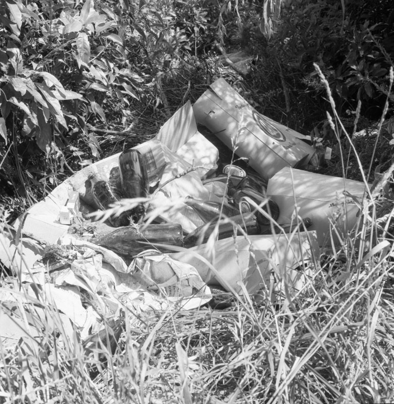 b. Rubbish dumped on side of Old Porirua Road