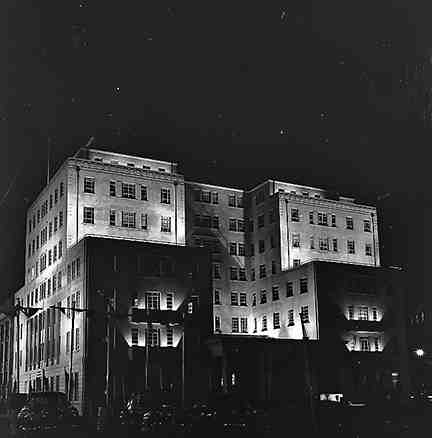 i. Wellington Festival, Night Lights