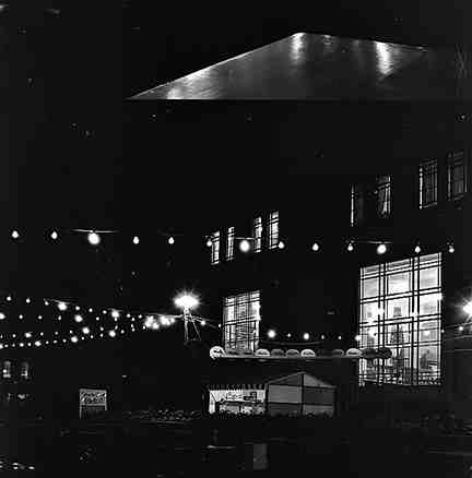 k. Wellington Festival, Night Lights