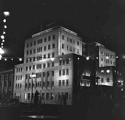 s. Wellington Festival, Night Lights