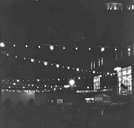 t. Wellington Festival, Night Lights