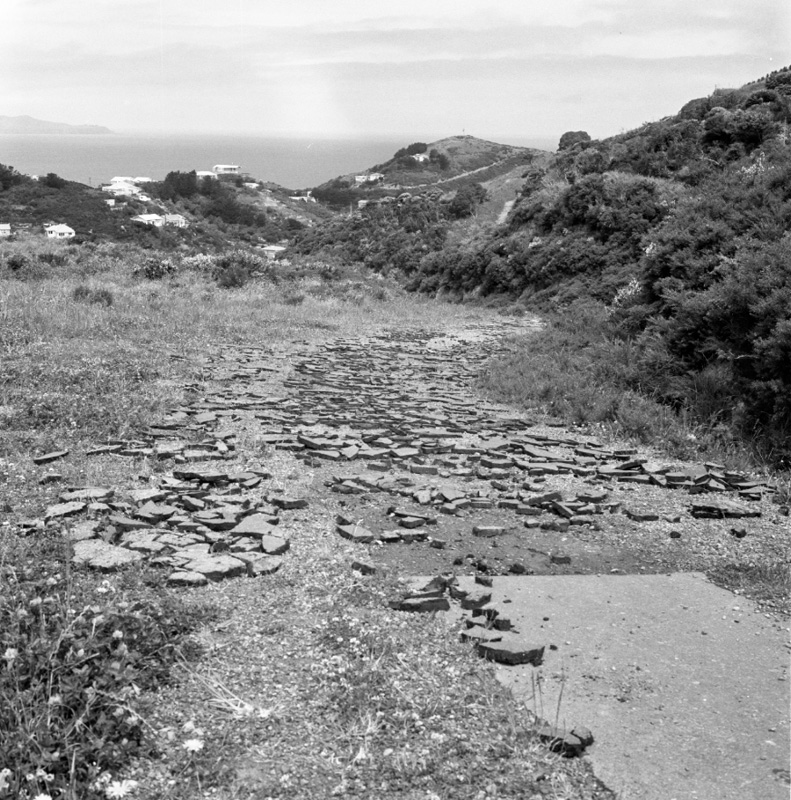 a. Paved path to Houghton Bay School, off Buckley Rd, damaged by kids