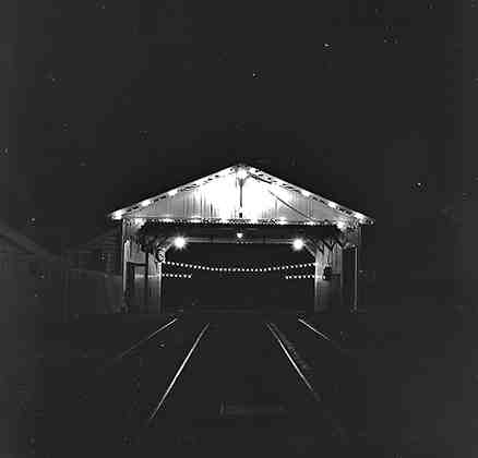 u. Wellington Festival, Night Lights