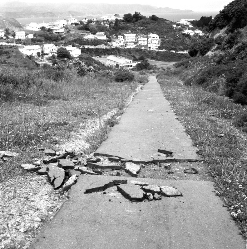 d. Paved path to Houghton Bay School, off Buckley Rd, damaged by kids