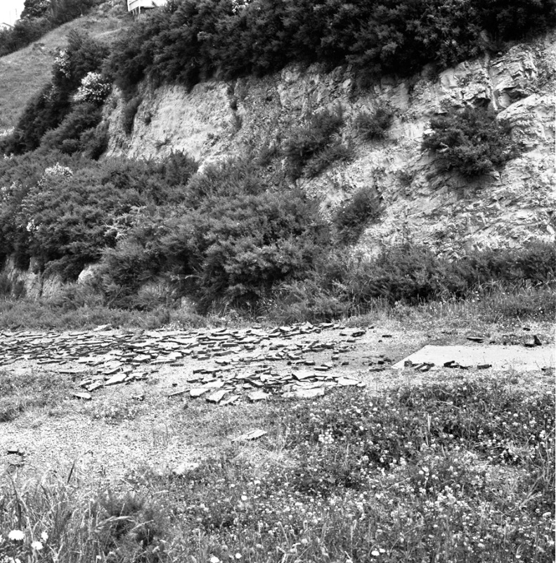 e. Paved path to Houghton Bay School, off Buckley Rd, damaged by kids