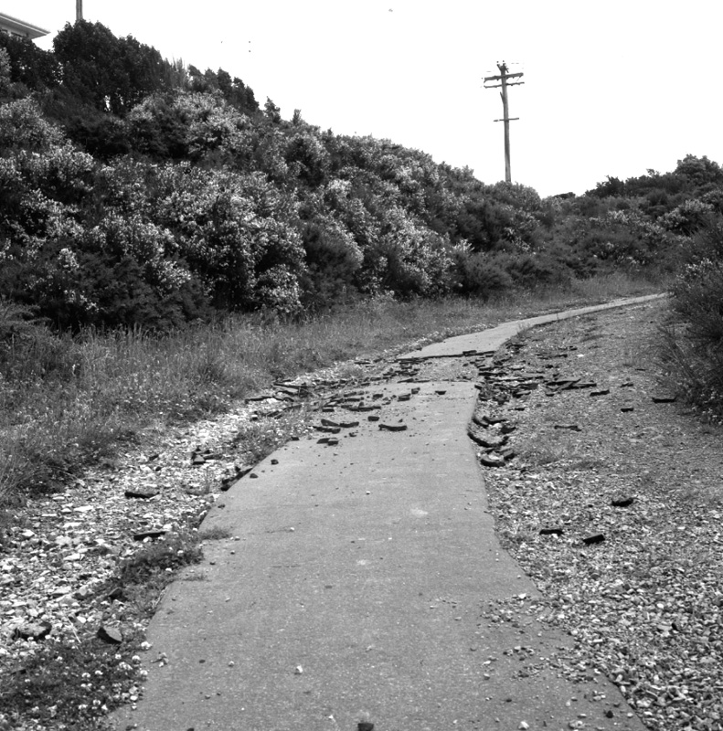 f. Paved path to Houghton Bay School, off Buckley Rd, damaged by kids