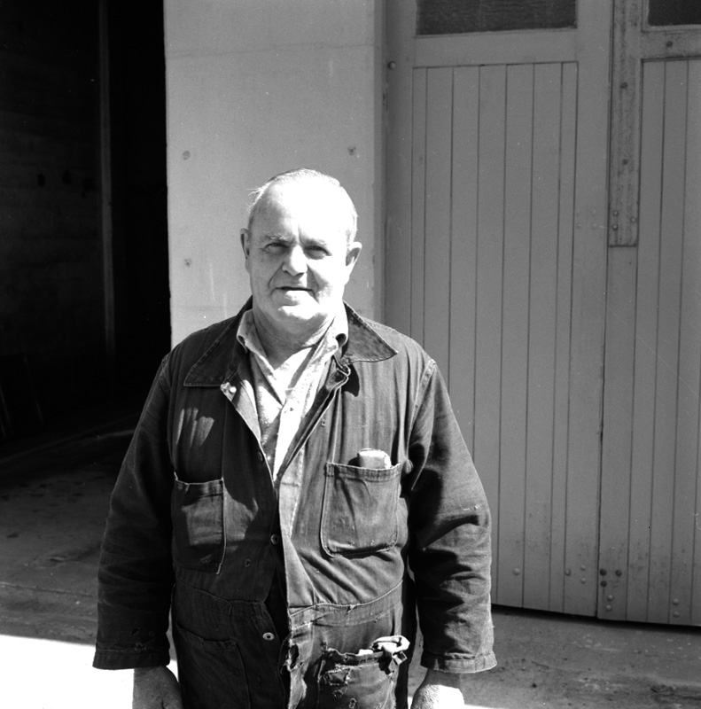 f. Staff member, Overhead trolley system - transport dept