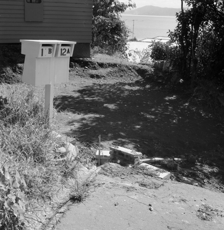 a. No 12A and12B Pinelands Avenue, scoured pathway