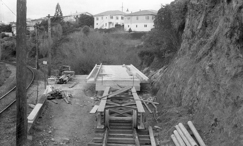 a. Panorama, Awarua Station