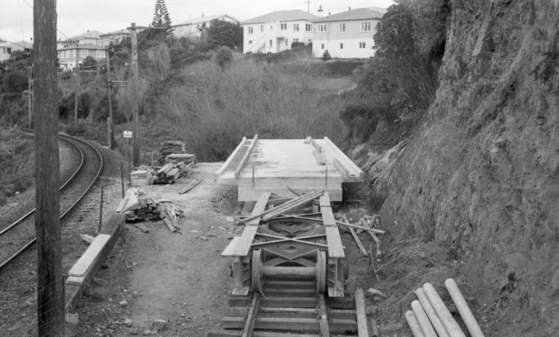 b. Panorama, Awarua Station
