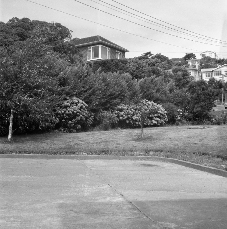 b. Houses and Accesses - Calcutta St
