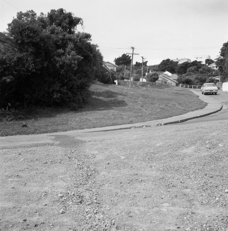 f. Houses and Accesses - Calcutta St