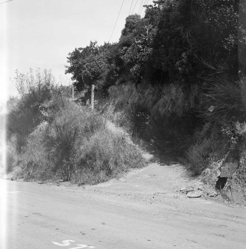 w. Houses and Accesses - Calcutta St