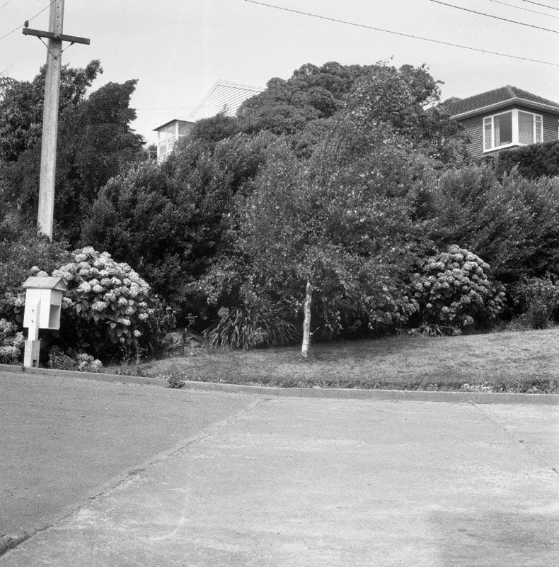 z. Houses and Accesses - Calcutta St