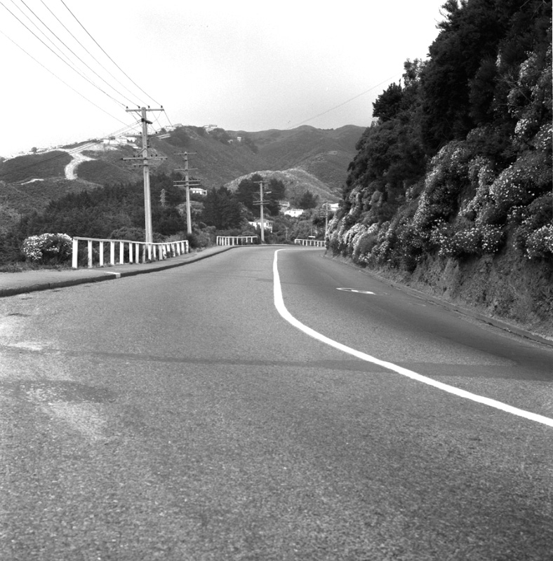 c. Traffic prosecution, Raroa Road