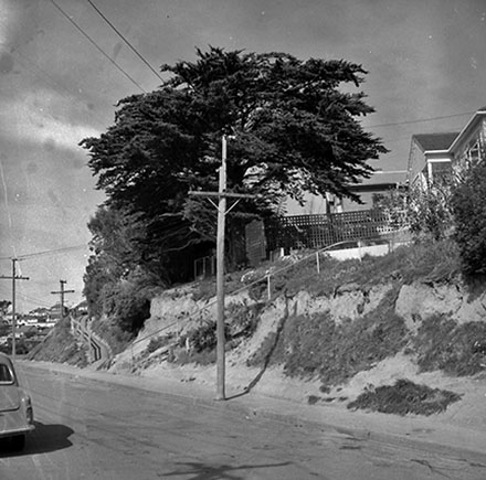 b. Pedestrian Access, 4-6 Aplin Terrace, Ngaio