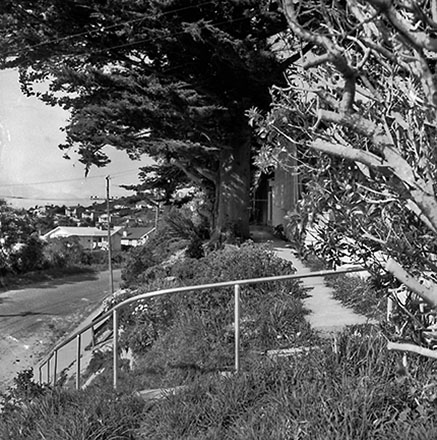 c. Pedestrian Access, 4-6 Aplin Terrace, Ngaio