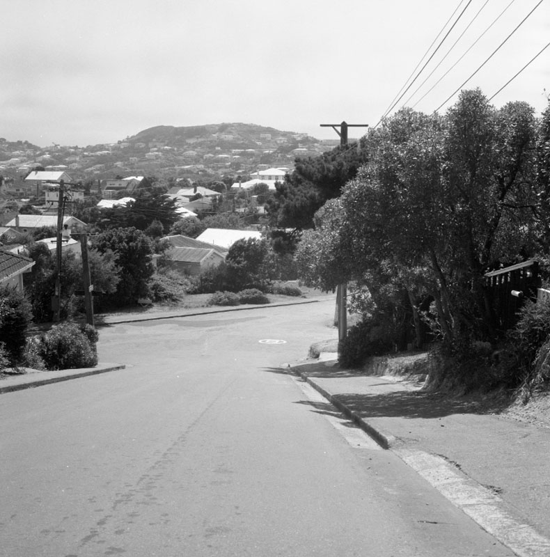 d. Residential area, intersection of Nicholson Road and Jubilee Road
