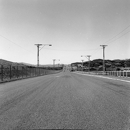 p. Streetscape, Cobham Drive, Calabar Road. Motor vehicles