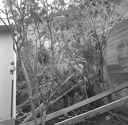 f. Residential property, 26a Delhi Crescent, Khandallah