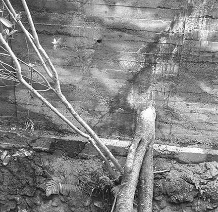 g. Residential property, 26a Delhi Crescent, Khandallah