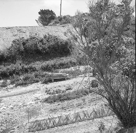 a. Prospect Terrace, Johnsonville