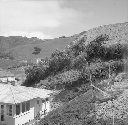 b. Prospect Terrace, Johnsonville