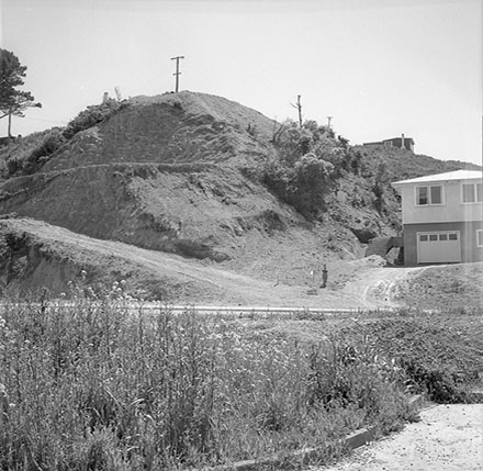 c. Prospect Terrace, Johnsonville