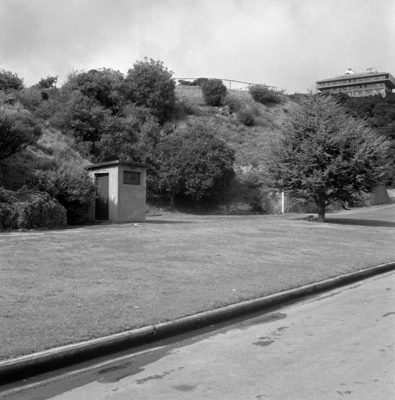 a. Clay Bank - Botanic Garden, rose garden