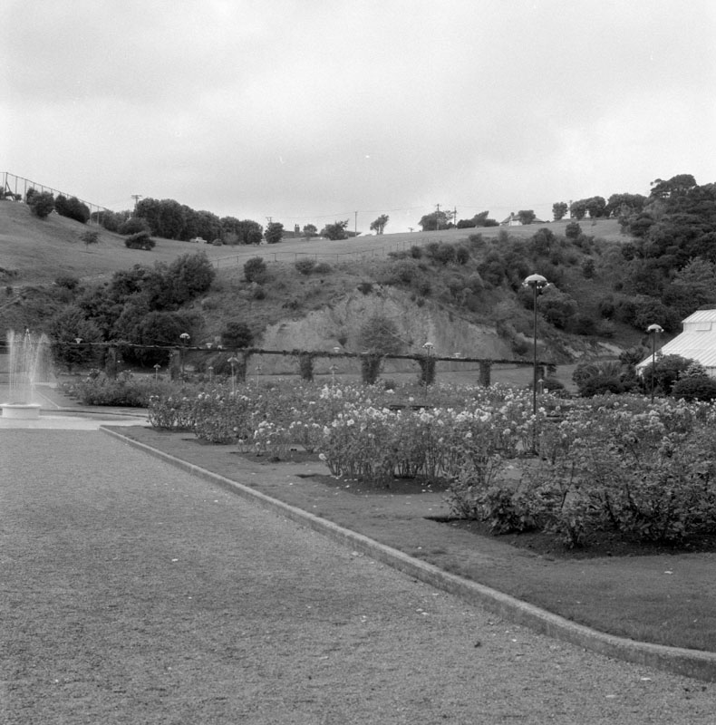 c. Clay Bank - Botanic Garden, rose garden