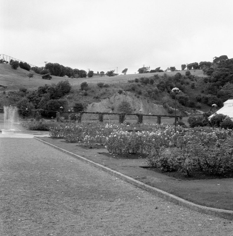 d. Clay Bank - Botanic Garden, rose garden