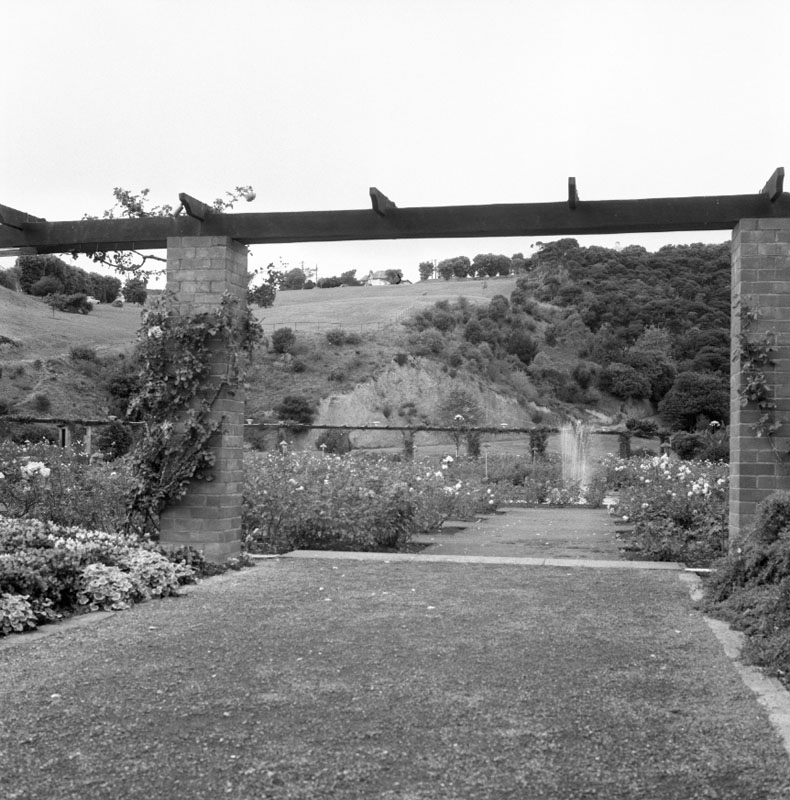 g. Clay Bank - Botanic Garden, rose garden